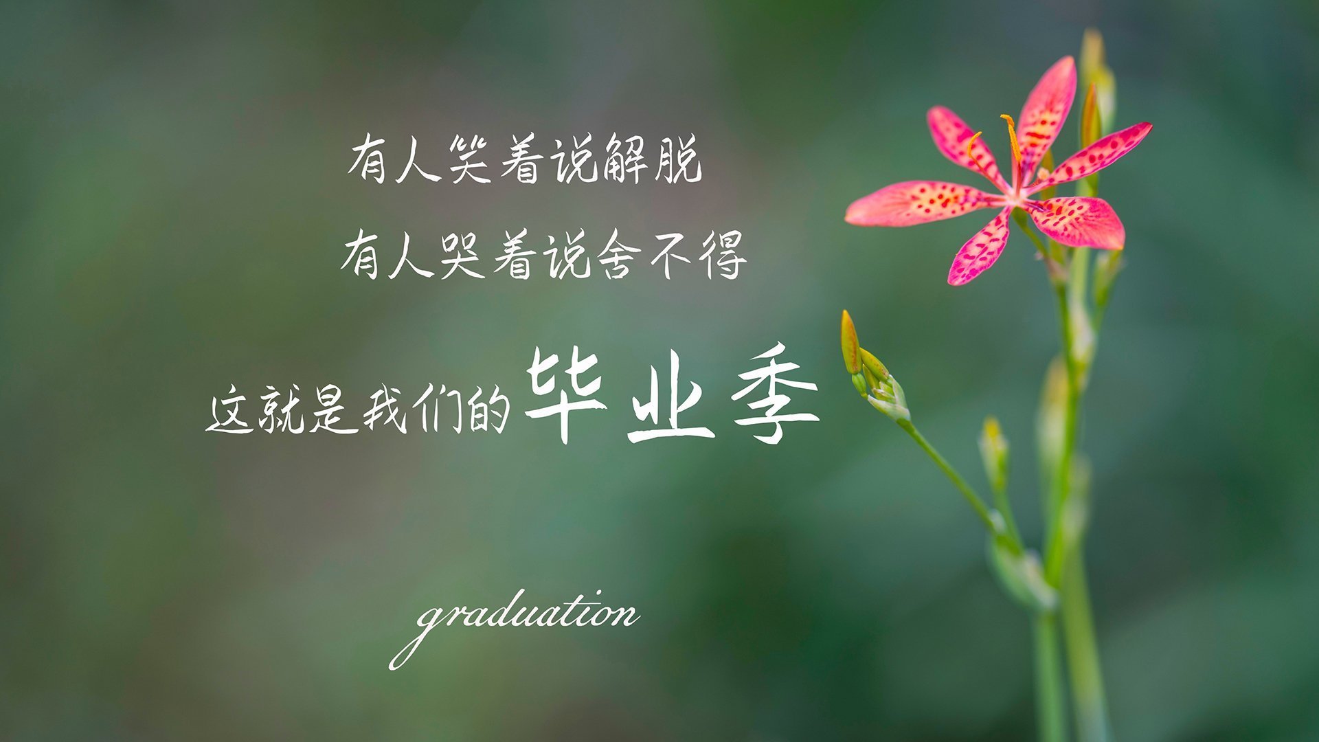 当桑巴点燃石油湖，内马尔对阵巴斯克雄狮的虚构史诗