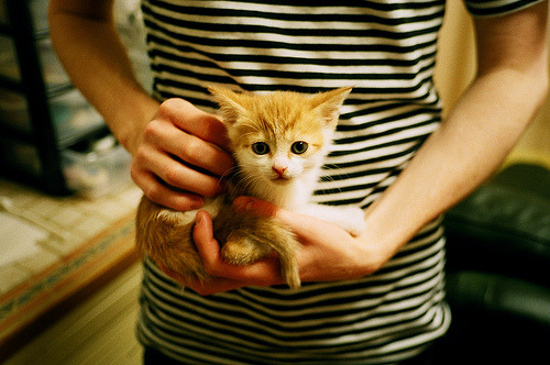 伊斯坦布尔之夜！无名罗德里戈一箭穿云，让阿森纳豪华防线沦为背景板