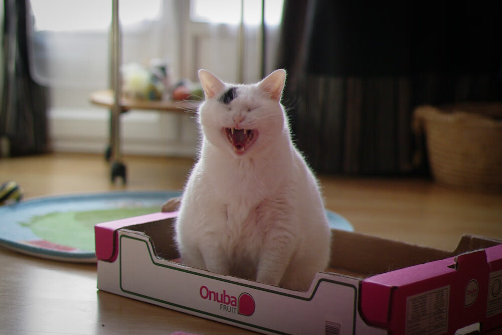 第三节风暴，当鹈鹕用一波流带走热火，贝恩如何悄然成为胜负之手