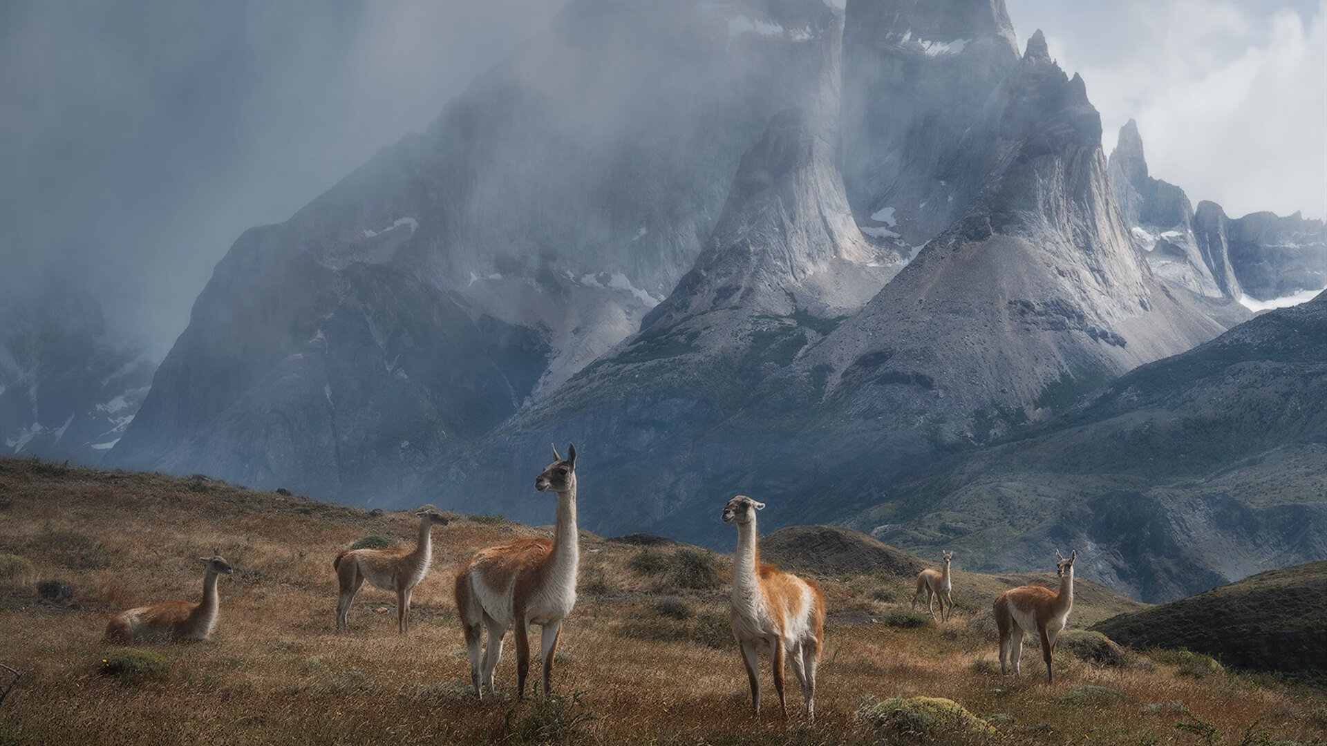 哈利伯顿的王者归来，开拓者全面压制爵士，季后赛接管艺术