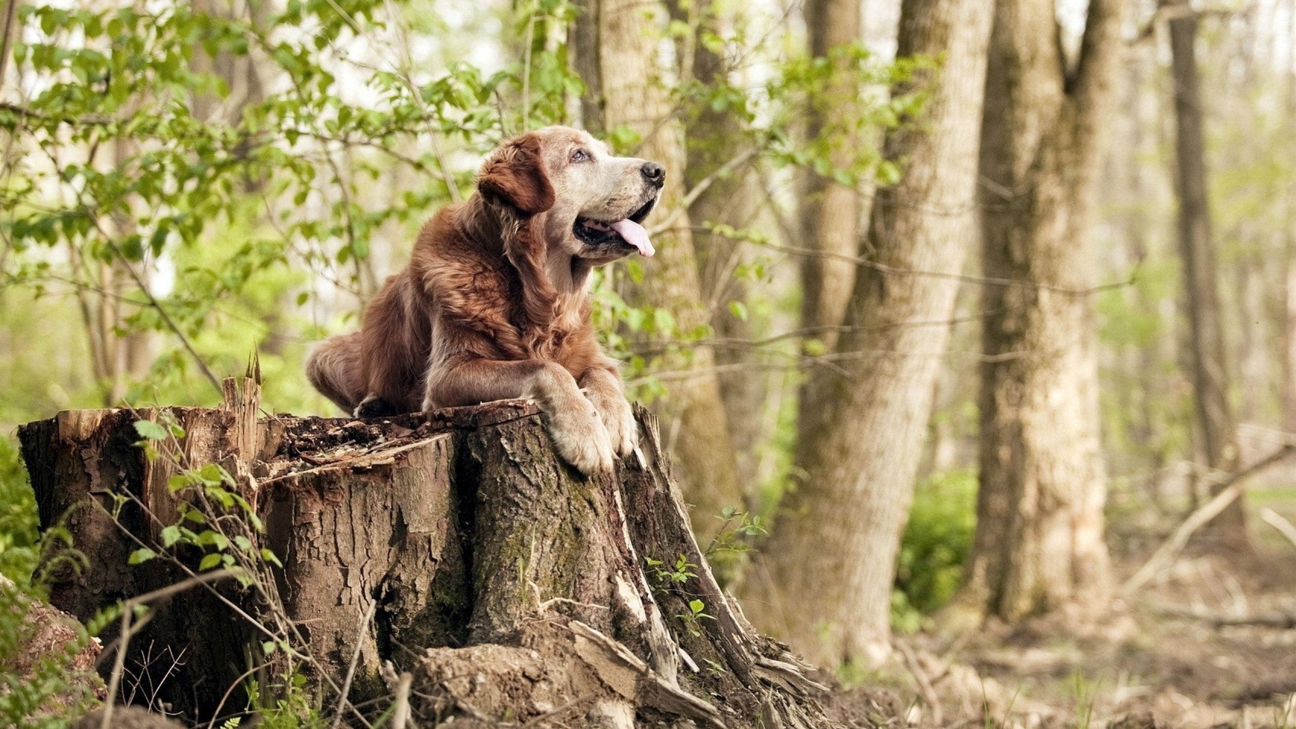 开云体育-西甲国家德比之夜，从切尔西弃将到巴萨英雄，坎特如何完成唐吉诃德式的现实救赎