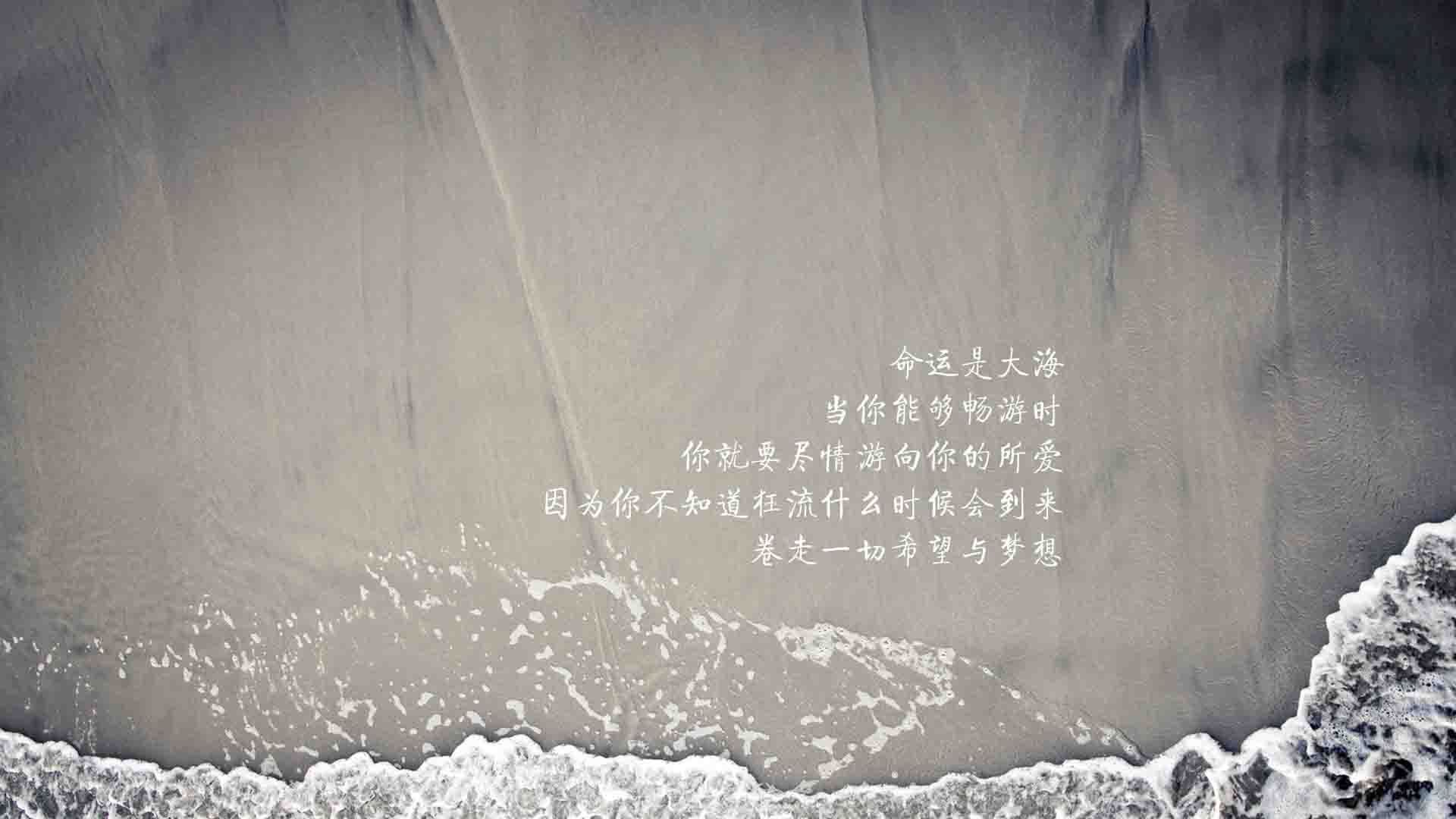 绿茵弦上的唯一断奏曲,当智利的狂想碾压美国的秩序,范戴克用永恒一击打破天穹