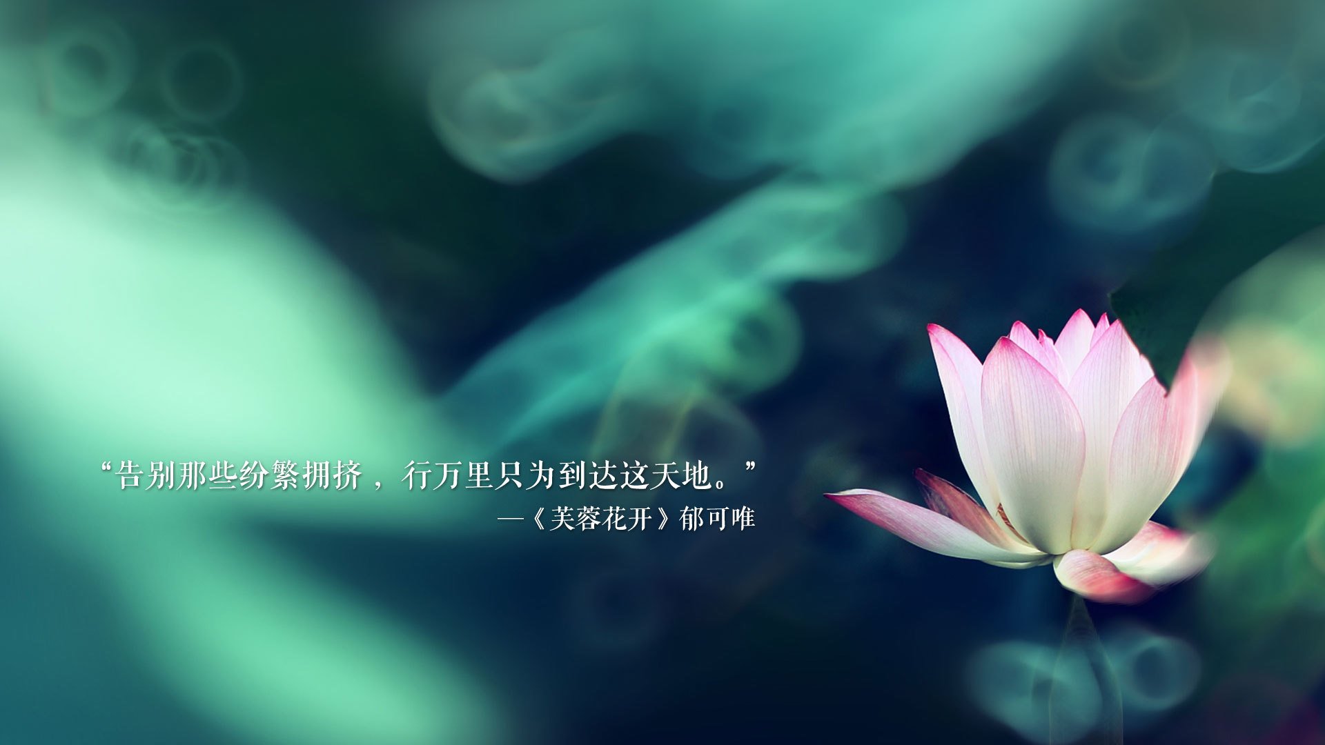 孤星耀世，当德布劳内把2026世界杯变成一个人的狂想曲