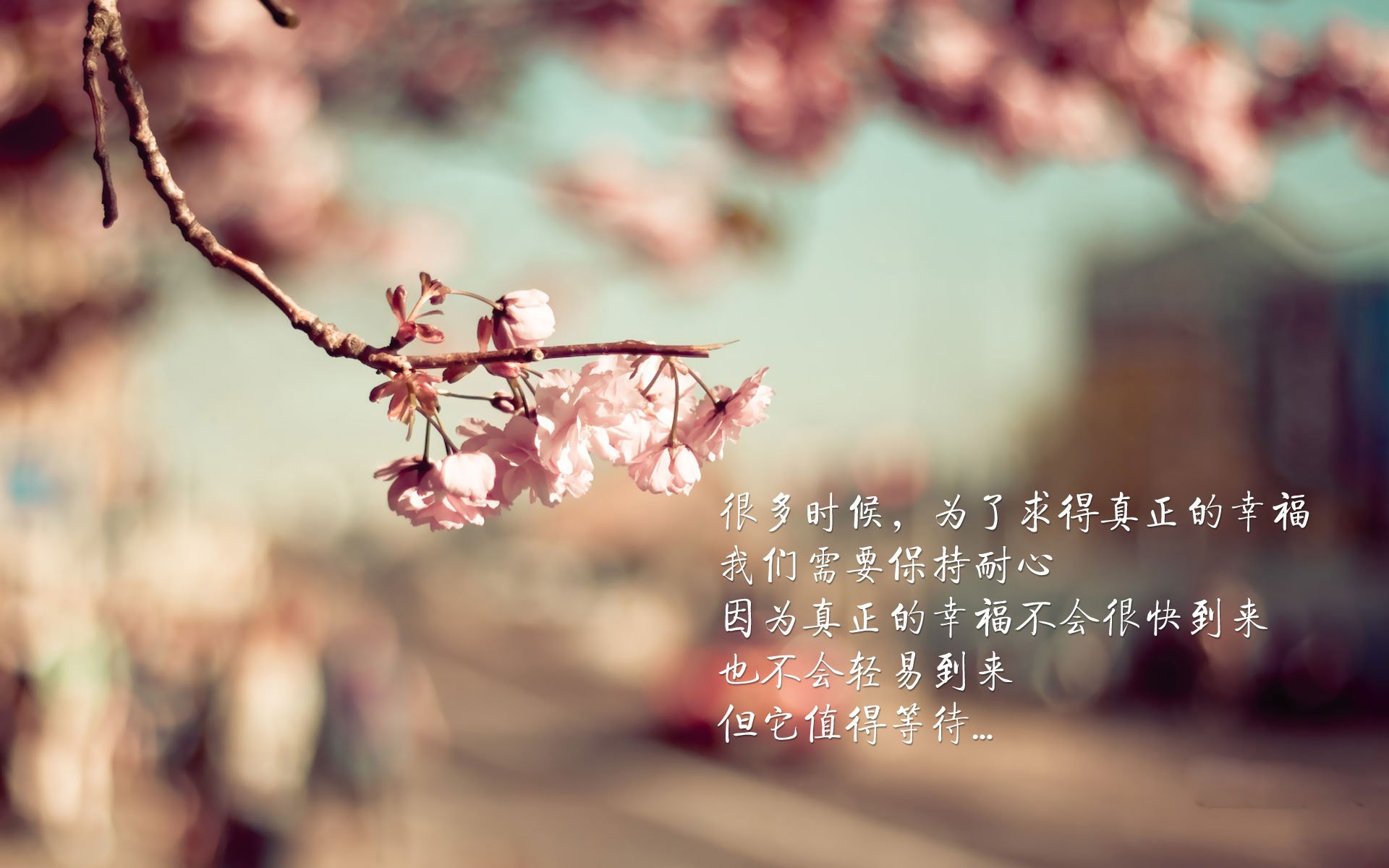 宿命对决的绝杀时刻，2026世界杯D组，秘鲁三中卫涅槃与拉什福德的写意一击